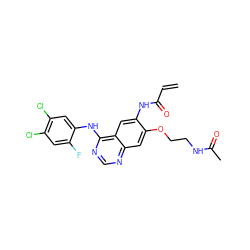 C=CC(=O)Nc1cc2c(Nc3cc(Cl)c(Cl)cc3F)ncnc2cc1OCCNC(C)=O ZINC000043153189