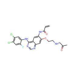 C=CC(=O)Nc1cc2c(Nc3cc(Cl)c(Cl)cc3F)ncnc2cc1OCCNCC(C)=O ZINC000143042297