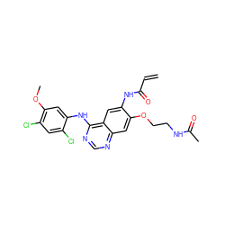 C=CC(=O)Nc1cc2c(Nc3cc(OC)c(Cl)cc3Cl)ncnc2cc1OCCNC(C)=O ZINC000143340532