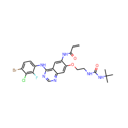 C=CC(=O)Nc1cc2c(Nc3ccc(Br)c(Cl)c3F)ncnc2cc1OCCNC(=O)NC(C)(C)C ZINC000137911560