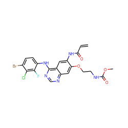 C=CC(=O)Nc1cc2c(Nc3ccc(Br)c(Cl)c3F)ncnc2cc1OCCNC(=O)OC ZINC000169707536