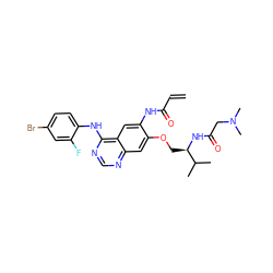 C=CC(=O)Nc1cc2c(Nc3ccc(Br)cc3F)ncnc2cc1OC[C@@H](NC(=O)CN(C)C)C(C)C ZINC000145378318