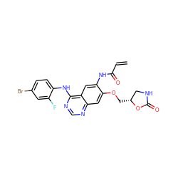 C=CC(=O)Nc1cc2c(Nc3ccc(Br)cc3F)ncnc2cc1OC[C@@H]1CNC(=O)O1 ZINC000137838996