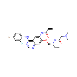 C=CC(=O)Nc1cc2c(Nc3ccc(Br)cc3F)ncnc2cc1OC[C@H](CC)NC(=O)CN(C)C ZINC000143202753