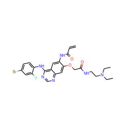 C=CC(=O)Nc1cc2c(Nc3ccc(Br)cc3F)ncnc2cc1OCC(=O)NCCN(CC)CC ZINC000137927064