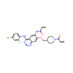 C=CC(=O)Nc1cc2c(Nc3ccc(Br)cc3F)ncnc2cc1OCC1CCN(C(=O)C=C)CC1 ZINC000137864002