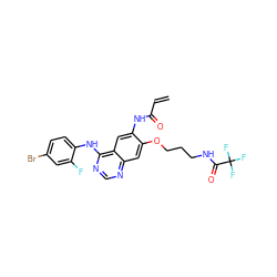 C=CC(=O)Nc1cc2c(Nc3ccc(Br)cc3F)ncnc2cc1OCCCNC(=O)C(F)(F)F ZINC000137871219