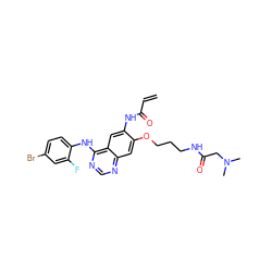 C=CC(=O)Nc1cc2c(Nc3ccc(Br)cc3F)ncnc2cc1OCCCNC(=O)CN(C)C ZINC000137870947