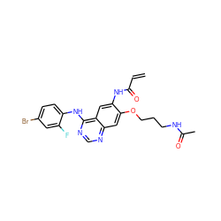 C=CC(=O)Nc1cc2c(Nc3ccc(Br)cc3F)ncnc2cc1OCCCNC(C)=O ZINC000137871108