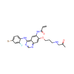 C=CC(=O)Nc1cc2c(Nc3ccc(Br)cc3F)ncnc2cc1OCCCNCC(C)=O ZINC000143091260