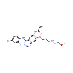 C=CC(=O)Nc1cc2c(Nc3ccc(Br)cc3F)ncnc2cc1OCCCNCCC=O ZINC000143391037