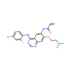 C=CC(=O)Nc1cc2c(Nc3ccc(Br)cc3F)ncnc2cc1OCCN(C)C ZINC000137877289