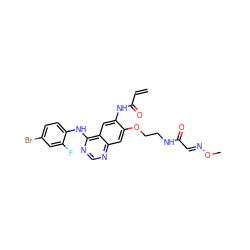 C=CC(=O)Nc1cc2c(Nc3ccc(Br)cc3F)ncnc2cc1OCCNC(=O)/C=N/OC ZINC000137934761