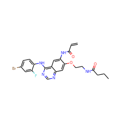 C=CC(=O)Nc1cc2c(Nc3ccc(Br)cc3F)ncnc2cc1OCCNC(=O)CCC ZINC000137911234