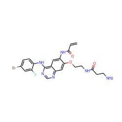 C=CC(=O)Nc1cc2c(Nc3ccc(Br)cc3F)ncnc2cc1OCCNC(=O)CCN ZINC000137926758