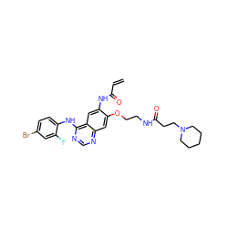 C=CC(=O)Nc1cc2c(Nc3ccc(Br)cc3F)ncnc2cc1OCCNC(=O)CCN1CCCCC1 ZINC000145464283