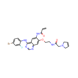 C=CC(=O)Nc1cc2c(Nc3ccc(Br)cc3F)ncnc2cc1OCCNC(=O)CN1CC=CC1 ZINC000142277350