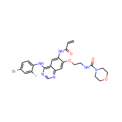 C=CC(=O)Nc1cc2c(Nc3ccc(Br)cc3F)ncnc2cc1OCCNC(=O)N1CCOCC1 ZINC000137839320