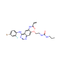 C=CC(=O)Nc1cc2c(Nc3ccc(Br)cc3F)ncnc2cc1OCCNC(=O)NCCC ZINC000137890940