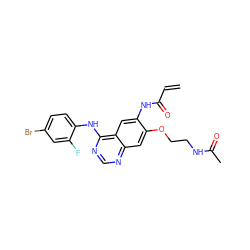 C=CC(=O)Nc1cc2c(Nc3ccc(Br)cc3F)ncnc2cc1OCCNC(C)=O ZINC000137877176