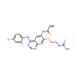 C=CC(=O)Nc1cc2c(Nc3ccc(Br)cc3F)ncnc2cc1OCCNC(N)=O ZINC000137883832