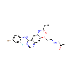 C=CC(=O)Nc1cc2c(Nc3ccc(Br)cc3F)ncnc2cc1OCCNCC(C)=O ZINC000137919529