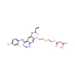 C=CC(=O)Nc1cc2c(Nc3ccc(Br)cc3F)ncnc2cc1OCCOCCOC(=O)CC(=O)O ZINC000169685737