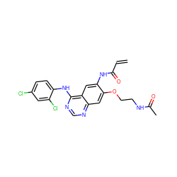 C=CC(=O)Nc1cc2c(Nc3ccc(Cl)cc3Cl)ncnc2cc1OCCNC(C)=O ZINC000143284760