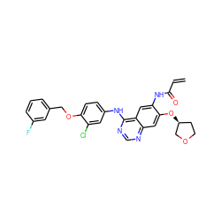 C=CC(=O)Nc1cc2c(Nc3ccc(OCc4cccc(F)c4)c(Cl)c3)ncnc2cc1O[C@H]1CCOC1 ZINC000203760195