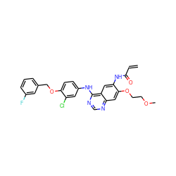 C=CC(=O)Nc1cc2c(Nc3ccc(OCc4cccc(F)c4)c(Cl)c3)ncnc2cc1OCCOC ZINC000203748054