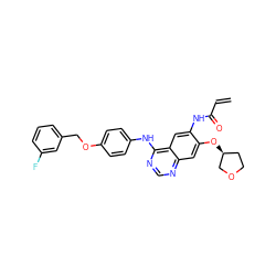 C=CC(=O)Nc1cc2c(Nc3ccc(OCc4cccc(F)c4)cc3)ncnc2cc1O[C@H]1CCOC1 ZINC000203737483