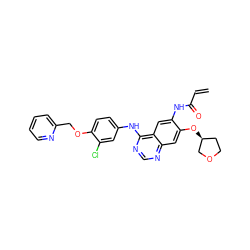 C=CC(=O)Nc1cc2c(Nc3ccc(OCc4ccccn4)c(Cl)c3)ncnc2cc1O[C@H]1CCOC1 ZINC000203757437