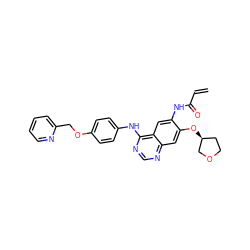 C=CC(=O)Nc1cc2c(Nc3ccc(OCc4ccccn4)cc3)ncnc2cc1O[C@H]1CCOC1 ZINC000203734598