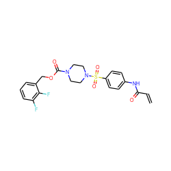 C=CC(=O)Nc1ccc(S(=O)(=O)N2CCN(C(=O)OCc3cccc(F)c3F)CC2)cc1 ZINC000084740767