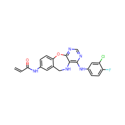 C=CC(=O)Nc1ccc2c(c1)CNc1c(Nc3ccc(F)c(Cl)c3)ncnc1O2 ZINC000028571051