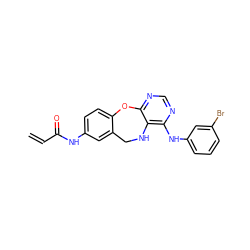 C=CC(=O)Nc1ccc2c(c1)CNc1c(Nc3cccc(Br)c3)ncnc1O2 ZINC000028571129