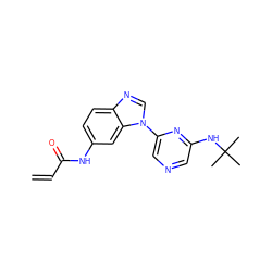 C=CC(=O)Nc1ccc2ncn(-c3cncc(NC(C)(C)C)n3)c2c1 ZINC000137432584