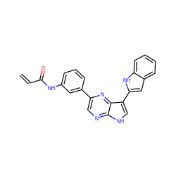 C=CC(=O)Nc1cccc(-c2cnc3[nH]cc(-c4cc5ccccc5[nH]4)c3n2)c1 ZINC000220999016