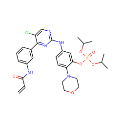 C=CC(=O)Nc1cccc(-c2nc(Nc3ccc(N4CCOCC4)c(OP(=O)(OC(C)C)OC(C)C)c3)ncc2Cl)c1 ZINC000207434020