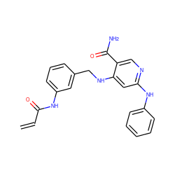 C=CC(=O)Nc1cccc(CNc2cc(Nc3ccccc3)ncc2C(N)=O)c1 ZINC001772637397