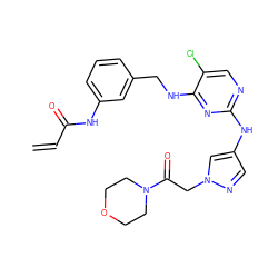 C=CC(=O)Nc1cccc(CNc2nc(Nc3cnn(CC(=O)N4CCOCC4)c3)ncc2Cl)c1 ZINC000473107760