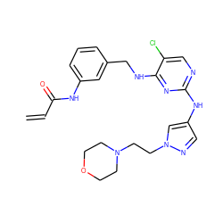 C=CC(=O)Nc1cccc(CNc2nc(Nc3cnn(CCN4CCOCC4)c3)ncc2Cl)c1 ZINC000473109861