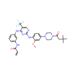 C=CC(=O)Nc1cccc(Nc2nc(Nc3ccc(N4CCN(C(=O)CC(C)(C)C)CC4)cc3OC)ncc2C(F)(F)F)c1 ZINC000141942508