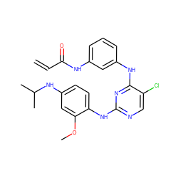 C=CC(=O)Nc1cccc(Nc2nc(Nc3ccc(NC(C)C)cc3OC)ncc2Cl)c1 ZINC001772577968