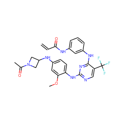 C=CC(=O)Nc1cccc(Nc2nc(Nc3ccc(NC4CN(C(C)=O)C4)cc3OC)ncc2C(F)(F)F)c1 ZINC000145470404