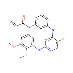 C=CC(=O)Nc1cccc(Nc2nc(Nc3cccc(OC)c3OC)ncc2Cl)c1 ZINC000167615171