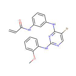 C=CC(=O)Nc1cccc(Nc2nc(Nc3ccccc3OC)ncc2Br)c1 ZINC000143755954