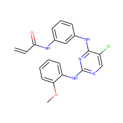 C=CC(=O)Nc1cccc(Nc2nc(Nc3ccccc3OC)ncc2Cl)c1 ZINC000200703640