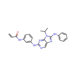 C=CC(=O)Nc1cccc(Nc2ncc3nc(Nc4ccccc4)n(C(C)C)c3n2)c1 ZINC000199000046