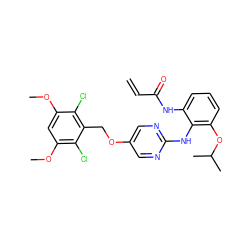 C=CC(=O)Nc1cccc(OC(C)C)c1Nc1ncc(OCc2c(Cl)c(OC)cc(OC)c2Cl)cn1 ZINC001772642099